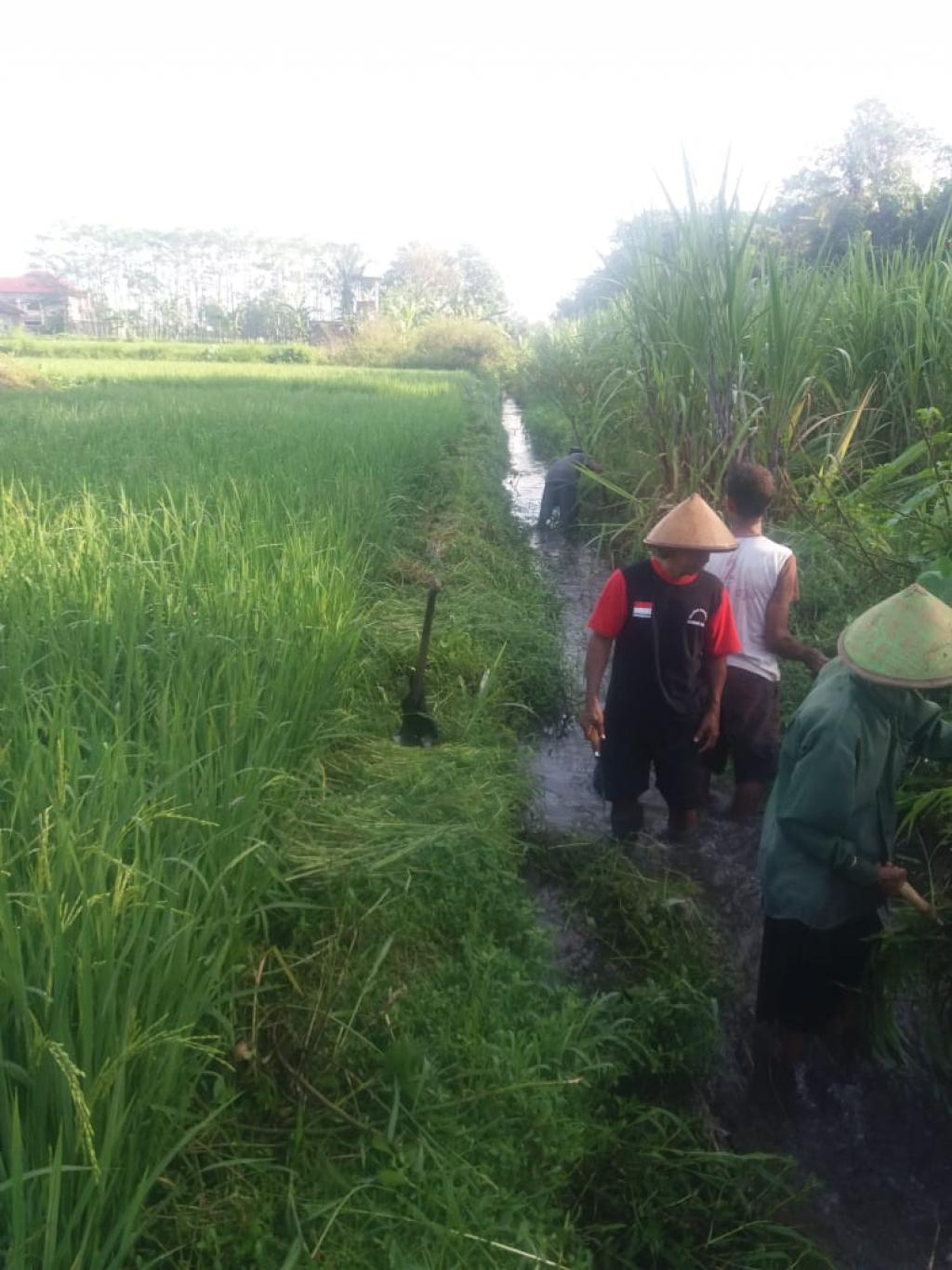 perawatan saluran irigasi dusun Pungkuran TA 2019